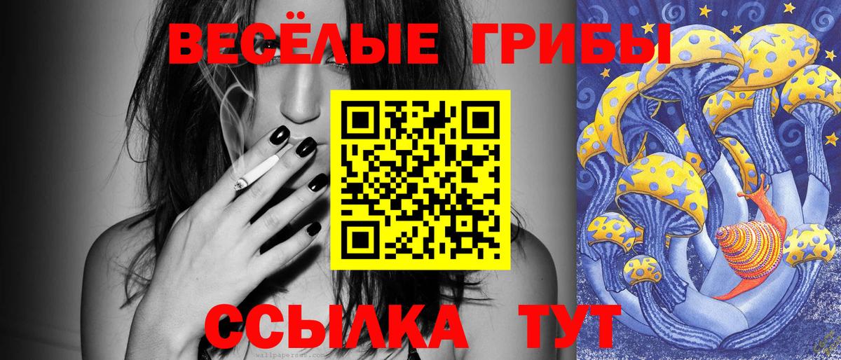 Галлюциногенные грибы ЛСД Рузаевка