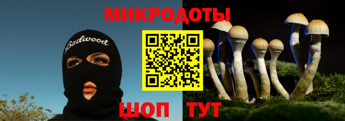 Рузаевка  Галлюциногенные грибы Magic Shrooms  Вход с VPN  Галлюциногенные грибы Cubensis 